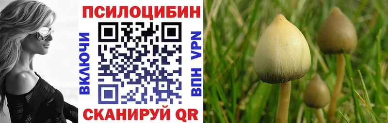 Псилоцибиновые грибы Cubensis  купить наркоту  Карабулак 